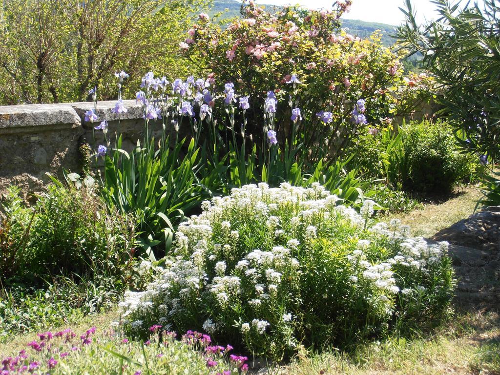 Le Seminaire Bed and Breakfast Roussas Buitenkant foto