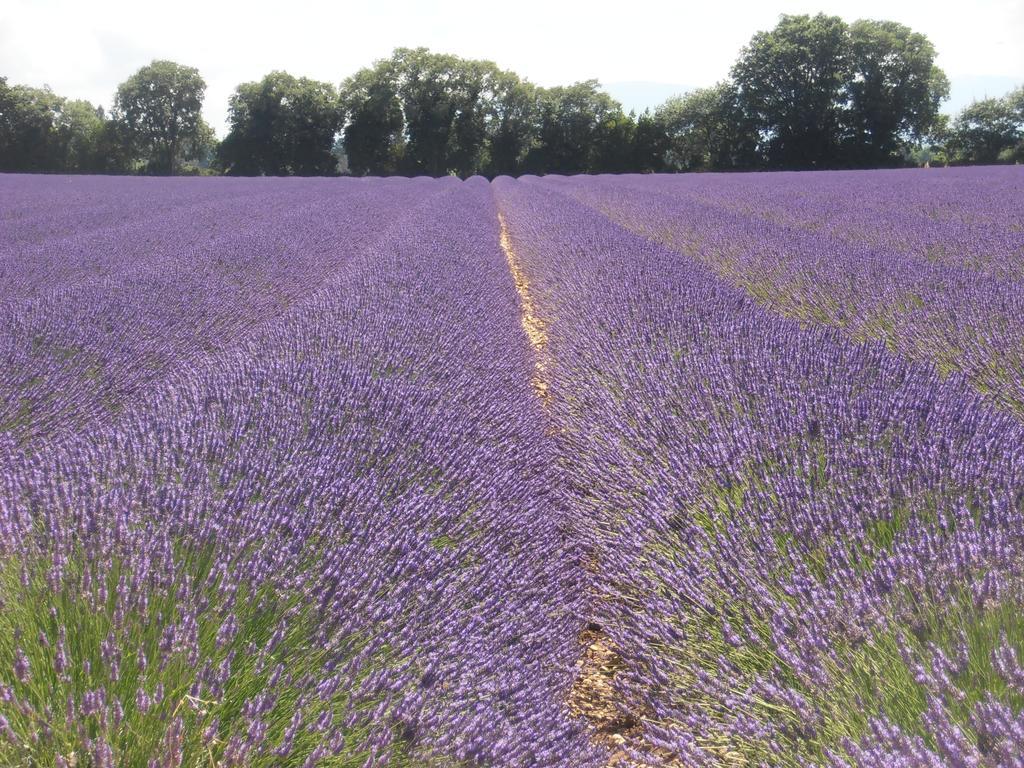 Le Seminaire Bed and Breakfast Roussas Buitenkant foto