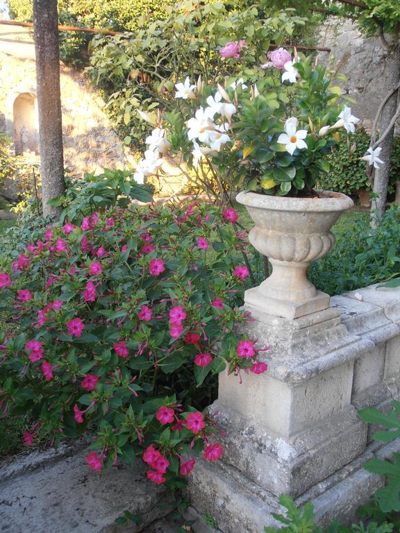 Le Seminaire Bed and Breakfast Roussas Buitenkant foto